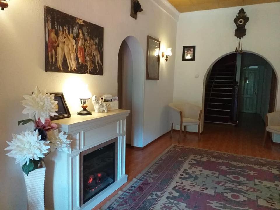 Vila Gabriel Сіная Екстер'єр фото